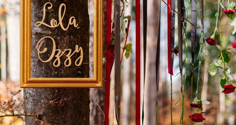 Once upon a time in the woods....