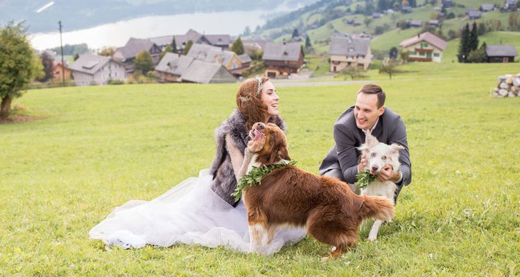 hochzeit mit hunden