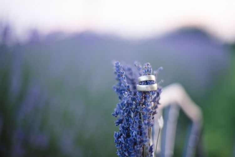 Lavendel Hochzeit Wer Lila Mag Liebt Diese Hochzeit